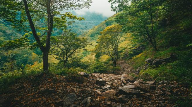 a-photo-of-a-verdant-forest-with-a-rocky-path-wind-qx-t3hbltryp7zijm-whwa-sjybgmygr1qi9k3pclqwmw